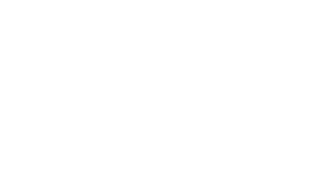 NMSDC National Minority Supplier